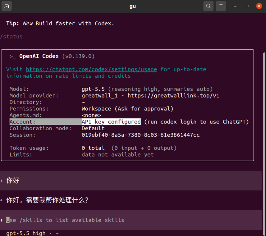 Codex CLI 验证配置成功